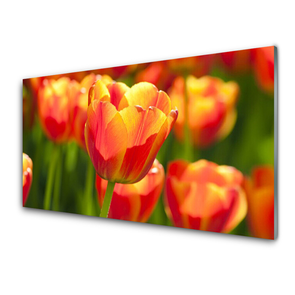 Glass Wall Art Tulips floral yellow red