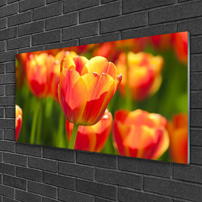 Glass Wall Art Tulips floral yellow red