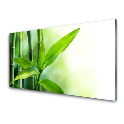 Glass Wall Art Bamboo canes floral green