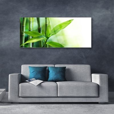 Glass Wall Art Bamboo canes floral green