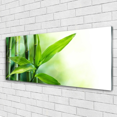 Glass Wall Art Bamboo canes floral green