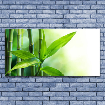 Glass Wall Art Bamboo canes floral green