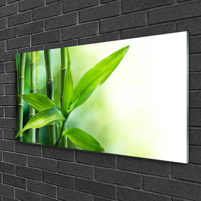 Glass Wall Art Bamboo canes floral green