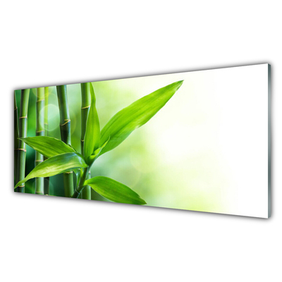 Glass Wall Art Bamboo canes floral green