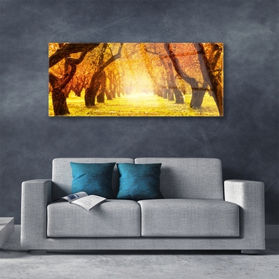 Glass Wall Art Forest footpath nature brown yellow
