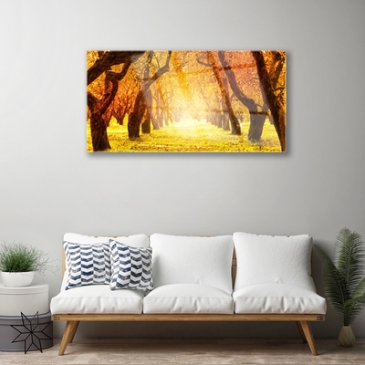 Glass Wall Art Forest footpath nature brown yellow