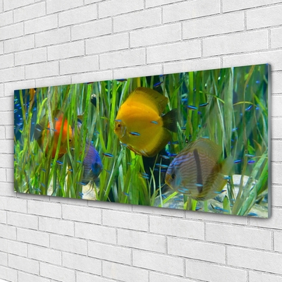 Glass Wall Art Fish nature yellow