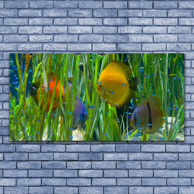 Glass Wall Art Fish nature yellow