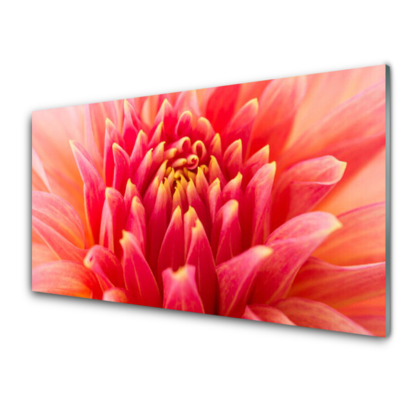 Glass Wall Art Flower floral orange