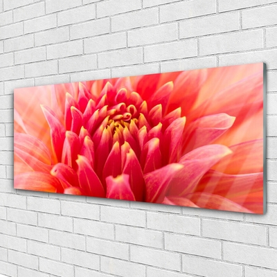 Glass Wall Art Flower floral orange