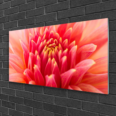 Glass Wall Art Flower floral orange