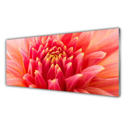 Glass Wall Art Flower floral orange