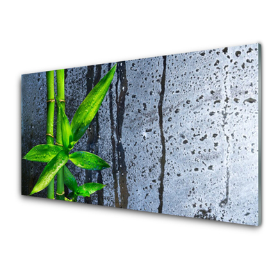 Glass Wall Art Bamboo stalks floral green