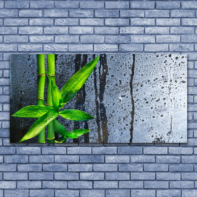 Glass Wall Art Bamboo stalks floral green