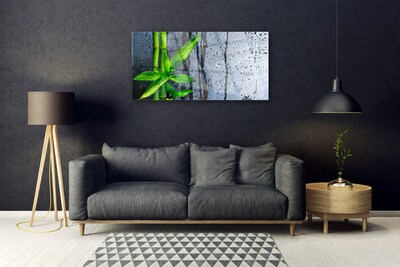 Glass Wall Art Bamboo stalks floral green