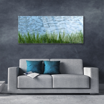 Glass Wall Art Grass water nature green blue