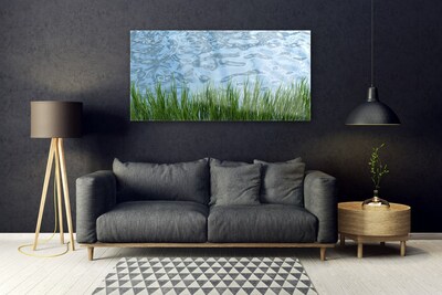 Glass Wall Art Grass water nature green blue