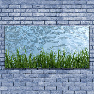 Glass Wall Art Grass water nature green blue