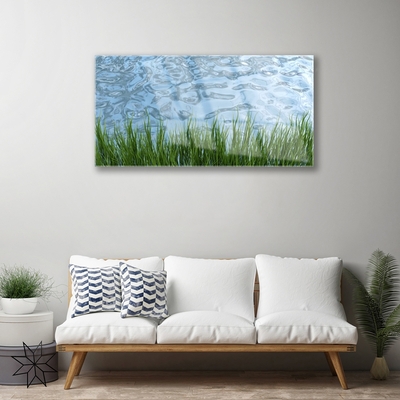 Glass Wall Art Grass water nature green blue