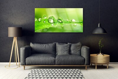 Glass Wall Art Leaf dewdrops floral green