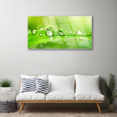 Glass Wall Art Leaf dewdrops floral green