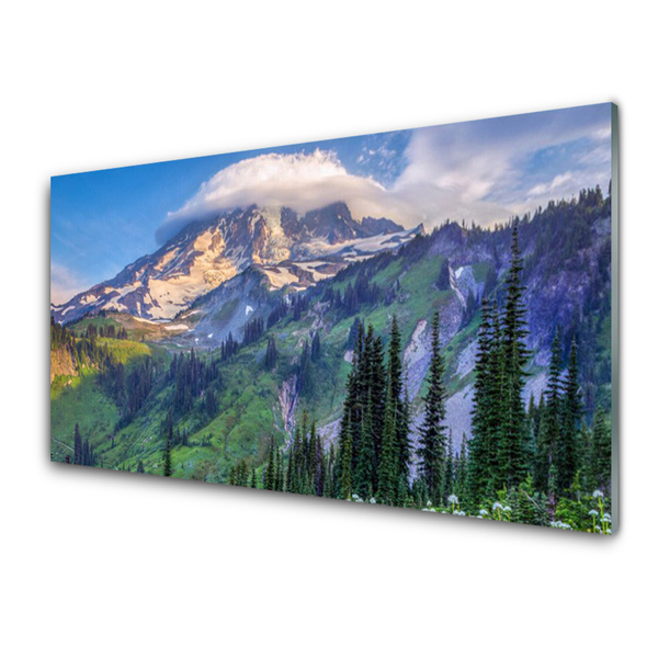 Glass Wall Art Mountain forest landscape grey green