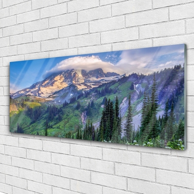 Glass Wall Art Mountain forest landscape grey green