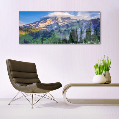 Glass Wall Art Mountain forest landscape grey green