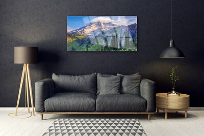 Glass Wall Art Mountain forest landscape grey green