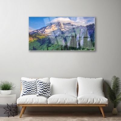 Glass Wall Art Mountain forest landscape grey green