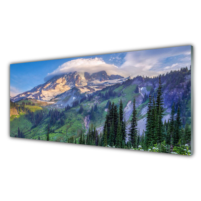 Glass Wall Art Mountain forest landscape grey green