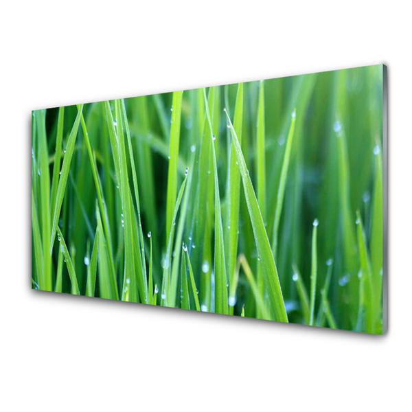 Glass Wall Art Weed nature green