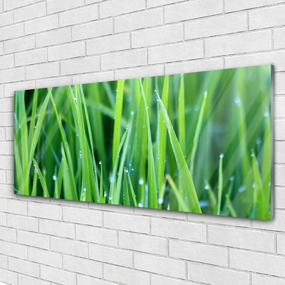 Glass Wall Art Weed nature green