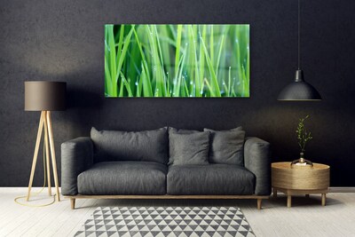 Glass Wall Art Weed nature green