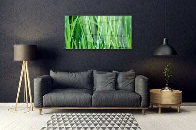 Glass Wall Art Weed nature green