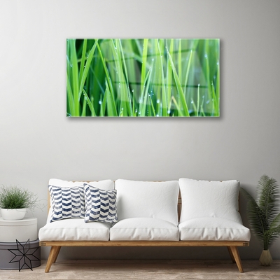 Glass Wall Art Weed nature green