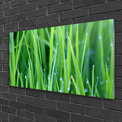 Glass Wall Art Weed nature green