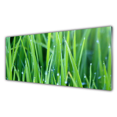 Glass Wall Art Weed nature green