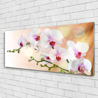 Glass Wall Art Flowers floral white pink