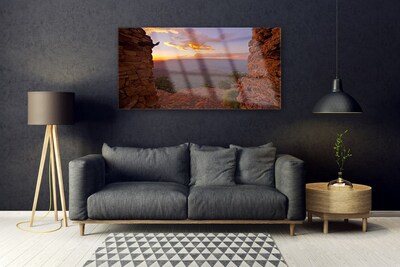 Glass Wall Art Rock landscape brown