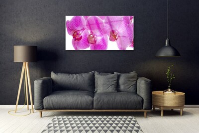 Glass Wall Art Flowers floral pink