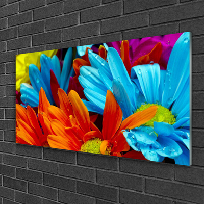 Glass Wall Art Flowers floral red blue orange