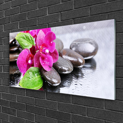 Glass Wall Art Flower stones floral red black