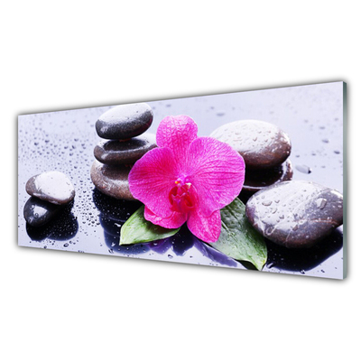 Glass Wall Art Flower stones art red black