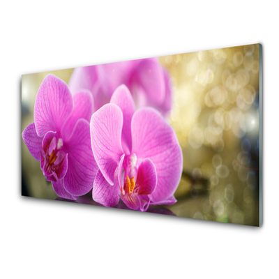 Glass Wall Art Flowers floral pink