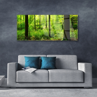 Glass Wall Art Forest nature brown green