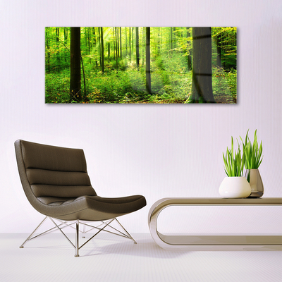 Glass Wall Art Forest nature brown green