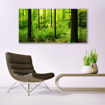 Glass Wall Art Forest nature brown green