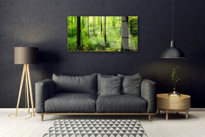 Glass Wall Art Forest nature brown green