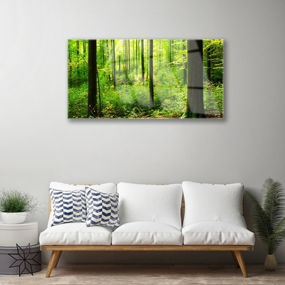 Glass Wall Art Forest nature brown green